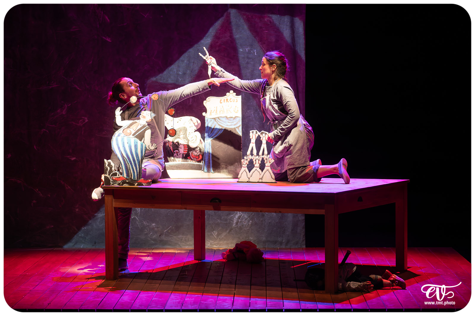 LA TRISTESSE DE L'ELEPHANT (CIE DES RIVES DE L'ILL)